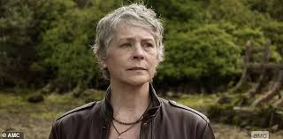 Carol Peletier recruits stranger to fly her to France as she embarks