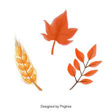 Simple Cartoon Hand Painted Autumn Element Design Maple Leaf Clipart Maple Leaf Orange Png Transparent Clipart Image And Psd File For Free Download Simple Cartoon Leaf Clipart Maple Leaf Clipart