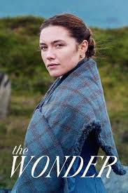 Image result for the wonder