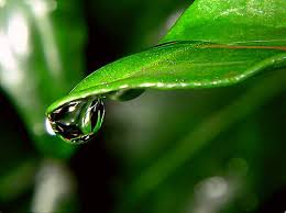 We investigate the best natural beauty treatments. Organic Beauty Products Archives Kline Company