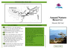 Image result for Oreobambos buchwaldii