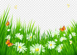 Kala, ada sebuah hutan yang cukup asri. Bunga Rumput Dengan Bunga Putih Kupu Kupu Terbang Di Atas Bunga Daun Wallpaper Komputer Halaman Rumput Png Pngwing