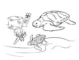Hand drawn watercolor colorful illustration of brown and orange sea turtle isolated on white background. Printable Sea Turtle Coloring Pages Novocom Top