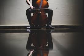 Scott holmes music epic trailer cinematic background music classical, soundtrack, composed music, chamber music, symphony. 70 000 Best Classical Music Photos 100 Free Download Pexels Stock Photos