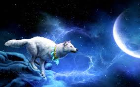 If you're looking for the best cool animal backgrounds then wallpapertag is the place to be. Cool Animal Wallpapers Wallpaper Cave