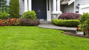 Maybe you would like to learn more about one of these? Power Washing Cape Coral Lawn Care Services Tree Service And Landscaping Company