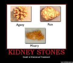 Kidney Stones Motifake 47161 Demotivational Poster Motivationals Original Jpg 640 553 Kidney Stones Funny Kidney Stones Healthy Mind And Body