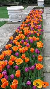 24 Wonderful Tulips Arrangement Tips For Your Home Garden Ideas Tulips Arrangement Tulips Garden Design Garden Front Of House