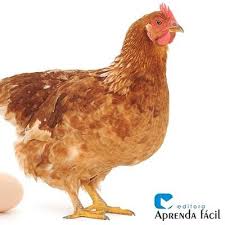 Il governo cinese non ha ancora condiviso con gli stati uniti i campioni dei ceppi virali di h7n9 in questione, nonostante l'urgenza di questa. Gripe Aviaria Chernopost Twitter