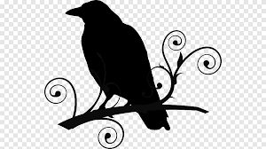 But mysterious crow tattoo designs have also made it to the list of accepted tattoos. Common Raven The Raven Baltimore Ravens Tribal Crow Tattoo Designs Branch Monochrome Png Pngegg