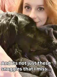 Dear Bentley, My dear Benny boo, my one in a million and soul mate. I'm  sorry our story had to end here, you will always be my baby no matter what  even