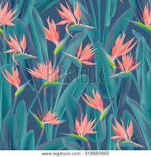 License type what are these? Tropical Crane Flower Vector Photo Free Trial Bigstock