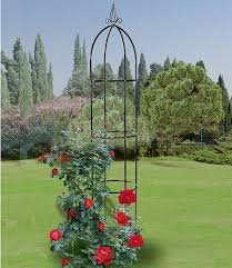 Obelisk Peak 1 St Pflanzen Japanischer Garten Gartengestaltung