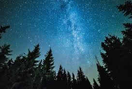 Welcome to sky, new zealand's home of sport, movies & great entertainment. What S In The Night Sky