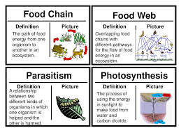 It can be described as a who eats whom diagram that shows. Ppt Inherited Trait Powerpoint Presentation Free Download Id 826974