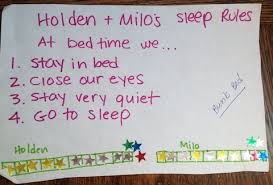 Sleep Rules How I Taught My Children To Go To Bed And Stay