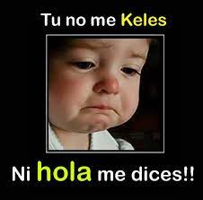 Tu No Me Quieres Frases Engracadas Para Whatsapp Frases Bacanas Memes Sobre Relacionamentos