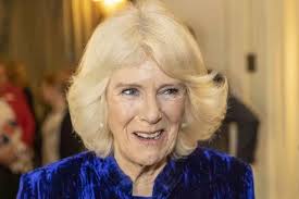 Duchess of Cornwall tells Paralympian she loves 'saucy moments' after book  gift