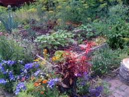 Maybe you would like to learn more about one of these? Vegetable Garden Layout Ideas And Tips To Maximize Space In A Small Garden