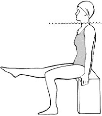 Figure 14 Knee Bend Water Exercises Exercise Arthritis Exercises