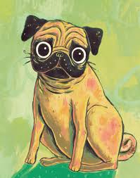 4,415 results for px 10. Pug Pic 10 80 Px 10 80 Px Exotic Pet World Gita Vatika Pet Shops For Dog In Gorakhpur Justdial Inches To Pixels Conversion Table Marcyy Salt