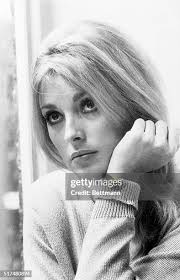 336 Actress Sharon Tate Stock Photos, High-Res Pictures, and Images