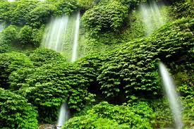 Pulau lombok di nusa tenggara barat memiliki memiliki beberapa wisata alam air terjun yang sangat eksotis dan memiliki pemandangan alam yang indah dan mempesona.hampir di setiap sudut pulau terdapat spot menarik yang layak untuk dikunjungi, mulai dari gunung rinjani, pantai senggigi, taman narmada, dan. Air Terjun Benang Kelambu Lombok 3 Backpacker Jakarta