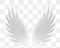 asas asas de anjo brilhando asas legais asas asas de anjo asas frias brilhantes imagem png e psd para download gratuito angel wings png wings png white angel wings