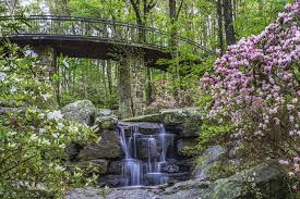 ∙ 1455 vine cliff hts, colorado springs, co 80921 ∙ $4,595,000 ∙ mls# 9145283 ∙ your search for an exquisite home is over. Garvan Woodland Gardens 550 Arkridge Rd Hot Springs Ar 71913