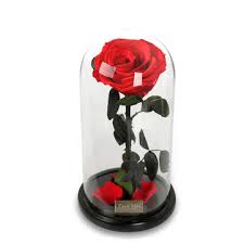 Preserved fresh flowers natural preserves flowers and foliage. Para Ella Preserved Fresh Rose Flower With Fallen Petals In Glass Dome On A Wooden Base As Gift For Valentine S Day Anniversary Birthday Wedding Sale Banggood Com