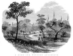 A Bush Inn At Rockingham Western Australia In 1868 Western Australia Historical Place Rockingham