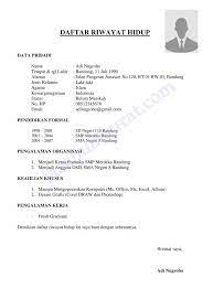 Jenis daftar riwayat hidup ini lebih terfokus pada keterampilan dibanding pengalaman kerja. Contoh Surat Lamaran Kerja Guru Fresh Graduate Riwayat Hidup Creative Cv Template Cv Kreatif