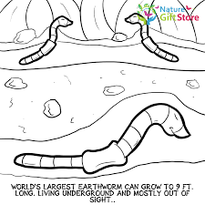 Cute outlined zoo animals collection. Printable Coloring Pages Nature Gift Store