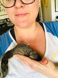 What to do with a found baby squirrel or rat in St Augustine?