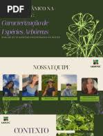 Image result for Eriocaulon angustibracteatum