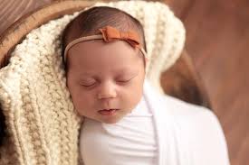 Counseling Psychology Doctoral Program Fall 2018 Newsletter