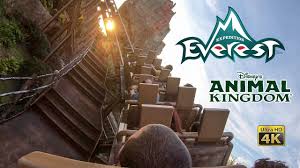 expedition everest roller coaster on ride ultra hd 4k pov disney s animal kingdom 2020 01 02 animal kingdom disney animal kingdom theme park roller coaster