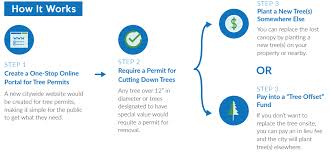 How to pay for parking. Seattle City Council Working On Revised Tree Ordinance Tree Removal On Private Property Would Require Replacement Or Paying Into Tree Offset Fund Seattlewa