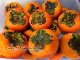 Persimmons (pisang kaki) malaysia online plant nursery mencari redha allah: Persimmon Fruit Pisang Kaki In English Malaygaga