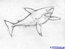 Pin On Help Me Draw Please