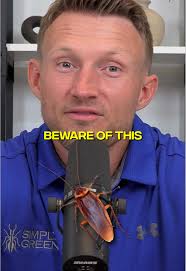 Coach Roaches in Nevada