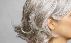 Sage leaves (salvis or sefakuss in hindi), are one of the most effective of ayurvedic remedies for gray hair. How To Get Rid Of Grey Hair Naturally