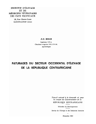 Image result for Pseudoeriosema andongense