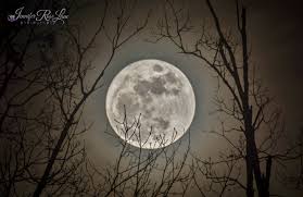December Full Moon 2019 The Cold Moon Joins Venus And