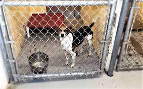 Kingsport customer service center moving to new city hall & opening july 12. Kingsport Times News A New Start