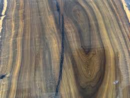 Image result for Ventilago