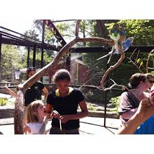 It is a pack animal, good for carrying loads and walking distances. Pin On Kids Summer To Do S