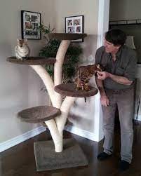 Stands 50 tall and 27 wide. Cloud 9 Cat Trees Nothing But The Best For Your Cat