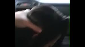 Asian car blowjobs