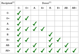 Expert Blood Typing Compatibility Chart Blood Typing Chart